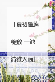 夏初睡莲绽放 一池清雅入画