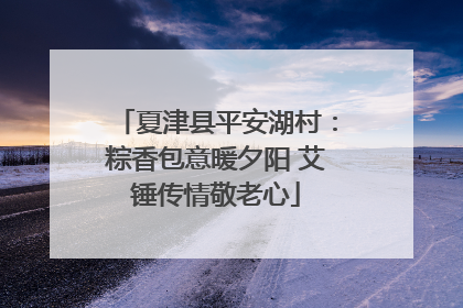 夏津县平安湖村：粽香包意暖夕阳 艾锤传情敬老心