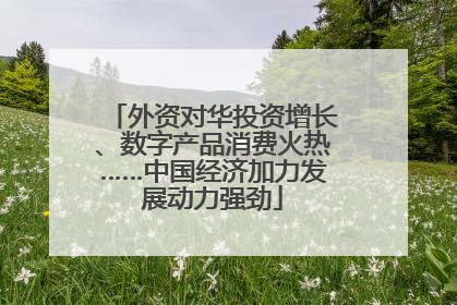 外资对华投资增长、数字产品消费火热……中国经济加力发展动力强劲