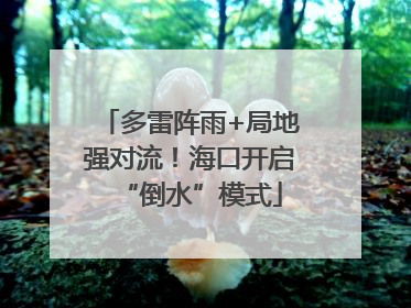 多雷阵雨+局地强对流！海口开启“倒水”模式