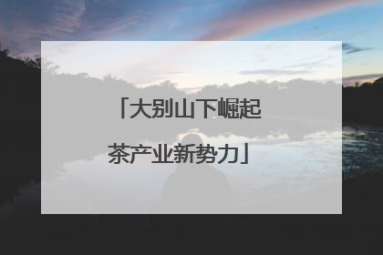 大别山下崛起茶产业新势力