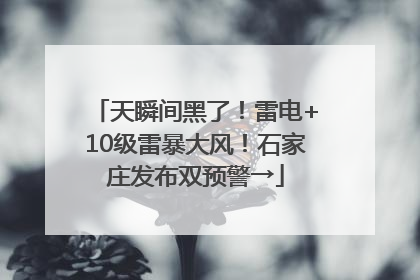天瞬间黑了！雷电+10级雷暴大风！石家庄发布双预警→