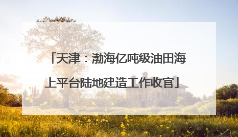 天津：渤海亿吨级油田海上平台陆地建造工作收官