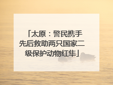 太原：警民携手 先后救助两只国家二级保护动物红隼