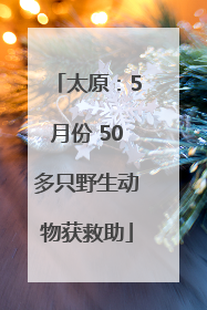 太原：5月份 50多只野生动物获救助