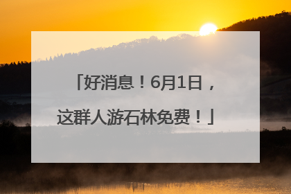 好消息！6月1日，这群人游石林免费！