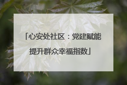心安处社区：党建赋能 提升群众幸福指数