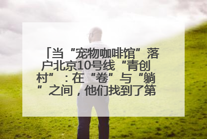 当“宠物咖啡馆”落户北京10号线“青创村”：在“卷”与“躺”之间，他们找到了第三种生活公式