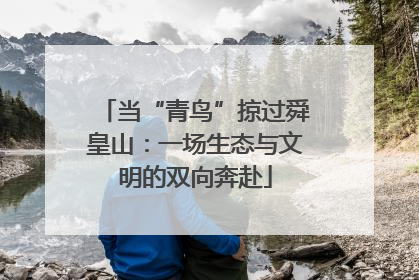 当“青鸟”掠过舜皇山：一场生态与文明的双向奔赴