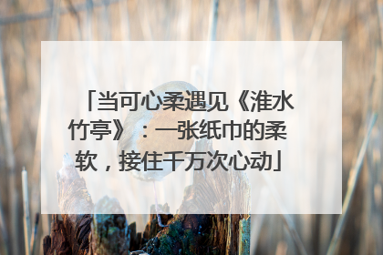 当可心柔遇见《淮水竹亭》：一张纸巾的柔软，接住千万次心动