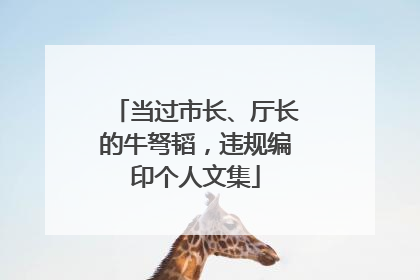 当过市长、厅长的牛弩韬，违规编印个人文集