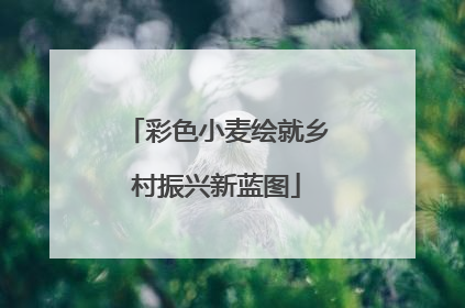 彩色小麦绘就乡村振兴新蓝图