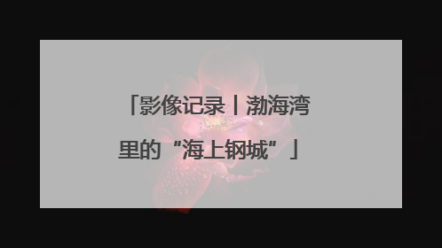 影像记录丨渤海湾里的“海上钢城”