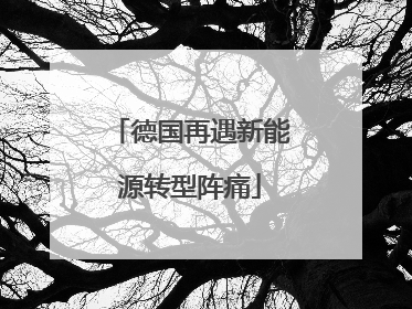 德国再遇新能源转型阵痛