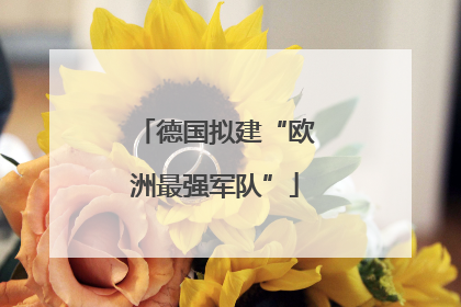 德国拟建“欧洲最强军队”