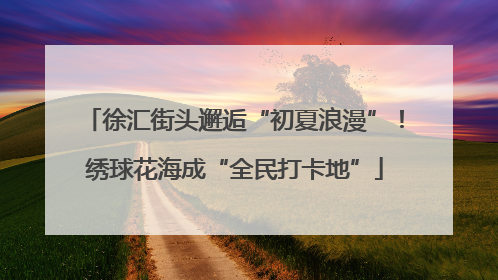 徐汇街头邂逅“初夏浪漫”！绣球花海成“全民打卡地”