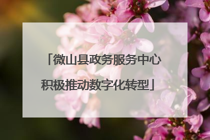 微山县政务服务中心积极推动数字化转型