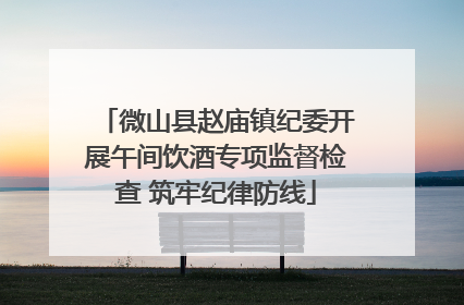 微山县赵庙镇纪委开展午间饮酒专项监督检查 筑牢纪律防线