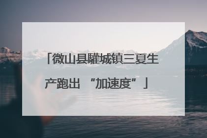 微山县驩城镇三夏生产跑出 “加速度”