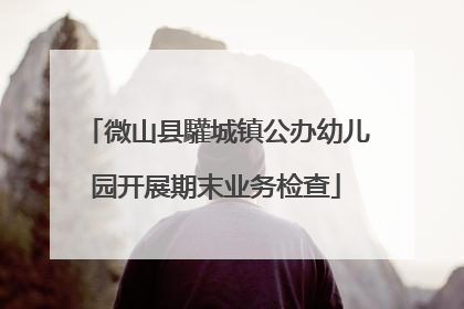 微山县驩城镇公办幼儿园开展期末业务检查