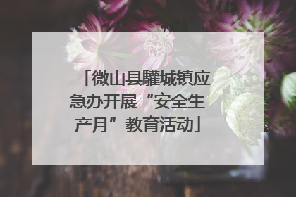 微山县驩城镇应急办开展“安全生产月”教育活动