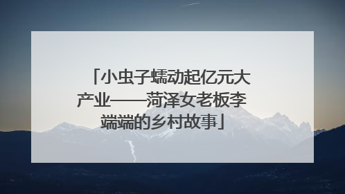 小虫子蠕动起亿元大产业——菏泽女老板李端端的乡村故事