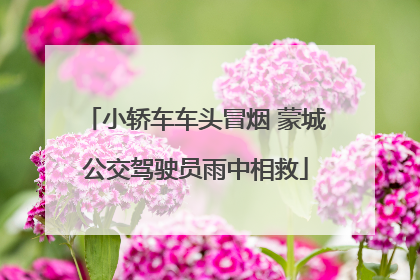小轿车车头冒烟 蒙城公交驾驶员雨中相救