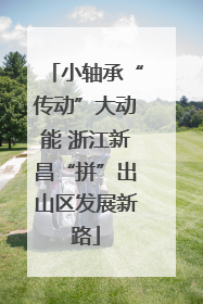 小轴承“传动”大动能 浙江新昌“拼”出山区发展新路