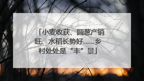 小麦收获、圆葱产销旺、水稻长势好……乡村处处是“丰”景
