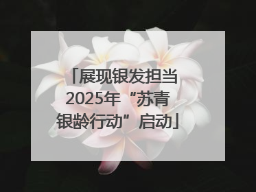 展现银发担当 2025年“苏青银龄行动”启动