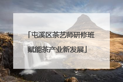 屯溪区茶艺师研修班赋能茶产业新发展