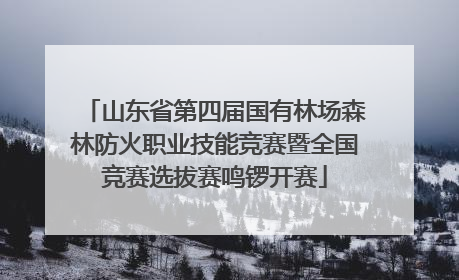 山东省第四届国有林场森林防火职业技能竞赛暨全国竞赛选拔赛鸣锣开赛