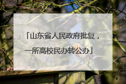 山东省人民政府批复，一所高校民办转公办
