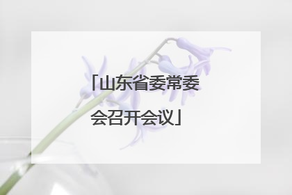 山东省委常委会召开会议