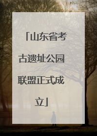 山东省考古遗址公园联盟正式成立