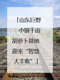 山东巨野：小镇千亩胡萝卜基地迎来“智慧大丰收”