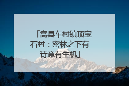 嵩县车村镇顶宝石村：密林之下有诗意有生机
