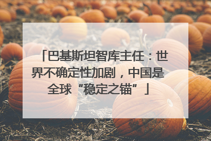 巴基斯坦智库主任：世界不确定性加剧，中国是全球“稳定之锚”