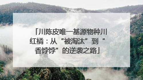 川陈皮唯一基源物种川红橘：从“被淘汰”到“香饽饽”的逆袭之路