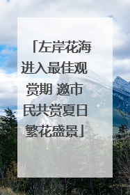 左岸花海进入最佳观赏期 邀市民共赏夏日繁花盛景