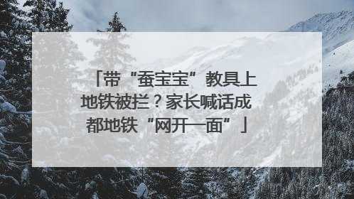 带“蚕宝宝”教具上地铁被拦？家长喊话成都地铁“网开一面”