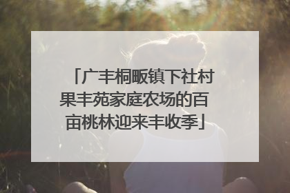 广丰桐畈镇下社村果丰苑家庭农场的百亩桃林迎来丰收季