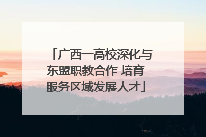 广西一高校深化与东盟职教合作 培育服务区域发展人才