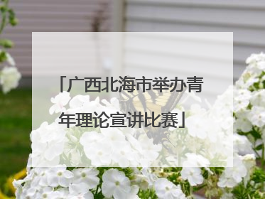 广西北海市举办青年理论宣讲比赛