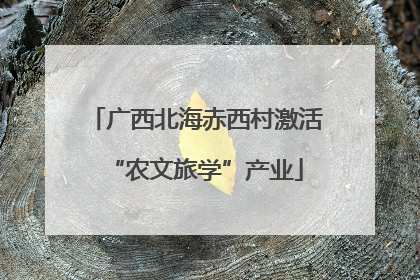 广西北海赤西村激活“农文旅学”产业
