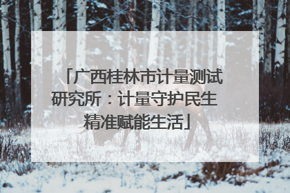 广西桂林市计量测试研究所：计量守护民生 精准赋能生活