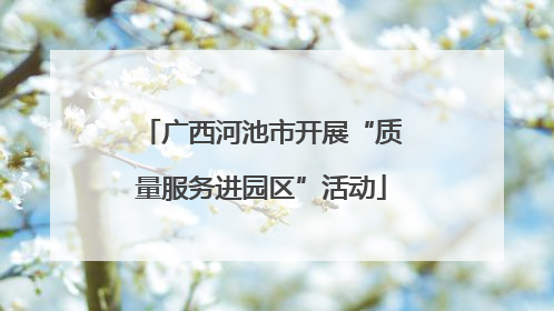 广西河池市开展“质量服务进园区”活动