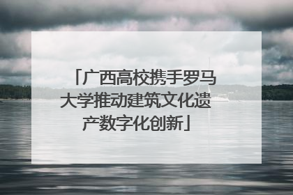 广西高校携手罗马大学推动建筑文化遗产数字化创新