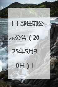 干部任前公示公告（2025年5月30日）