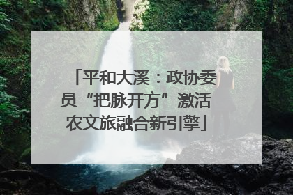 平和大溪：政协委员“把脉开方”激活农文旅融合新引擎